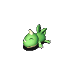 오투투